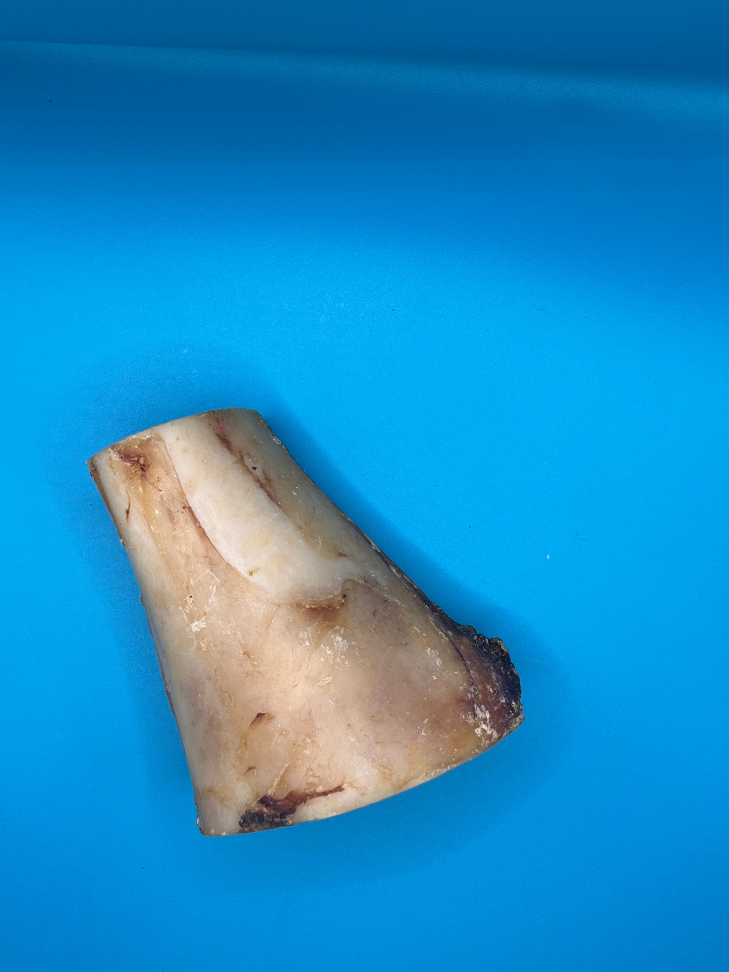 Beef Marrow Bone