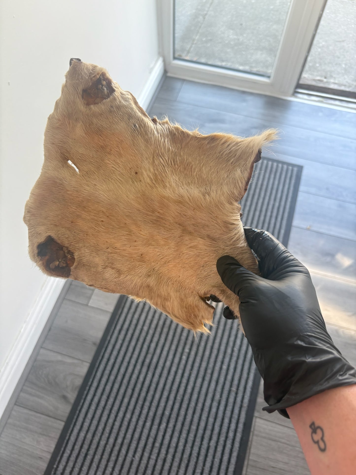 Hairy Cow Skin