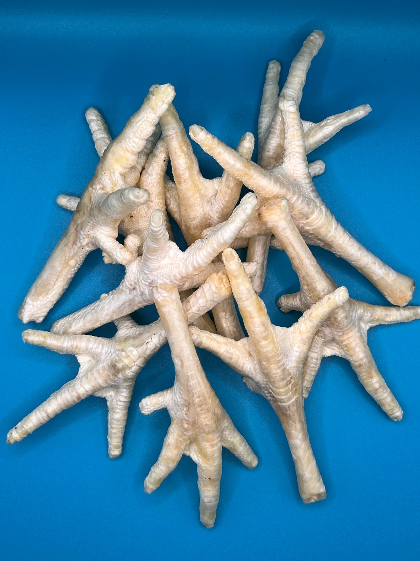 Puffed Chicken Feet