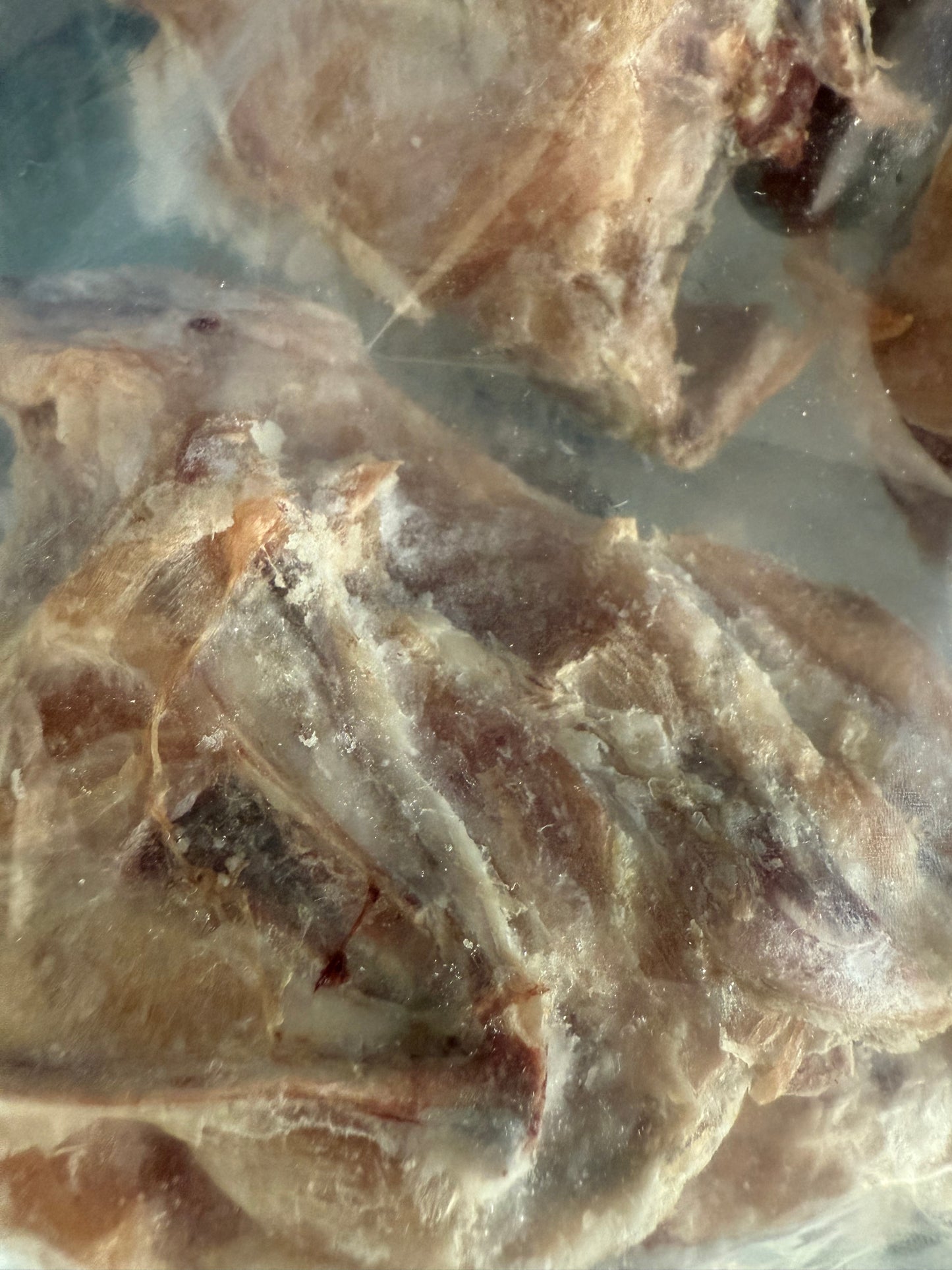 Chicken Carcass