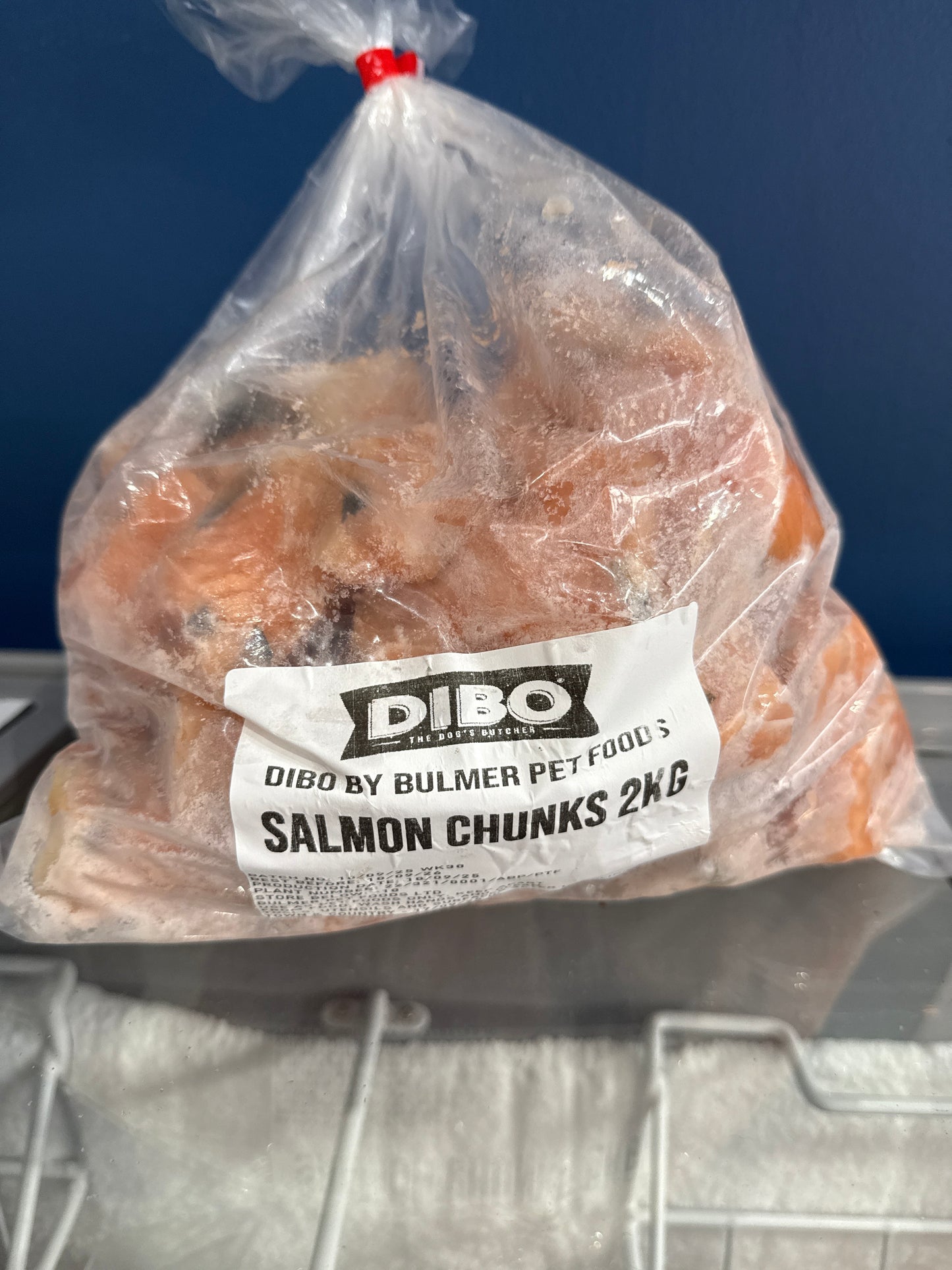 Salmon Chunks