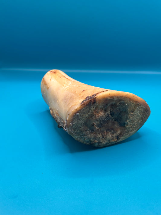 Beef Marrow Bone