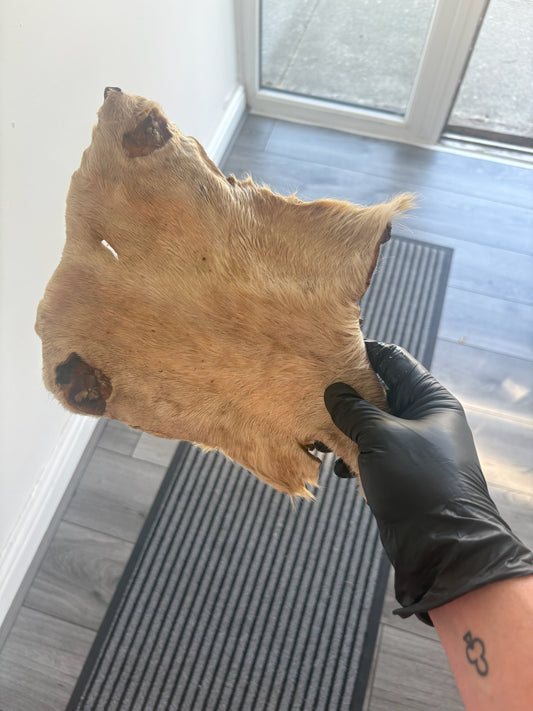 Hairy Cow Skin