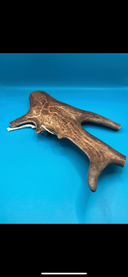 Fallow Antler