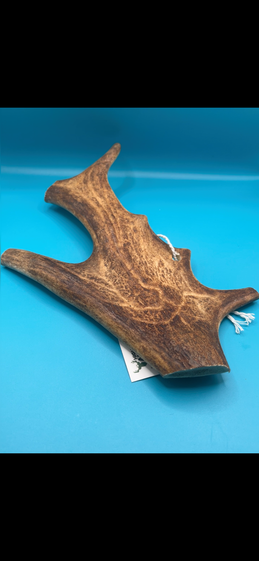 Fallow Antler