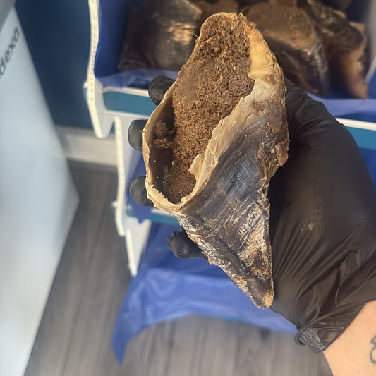 Meat Filled Hoof