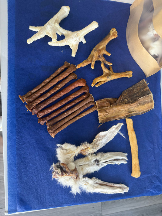 Puppy Treat Bag