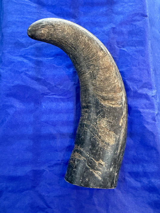 Buffalo Horn - Solid