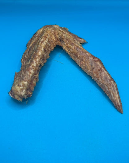 Duck Wing